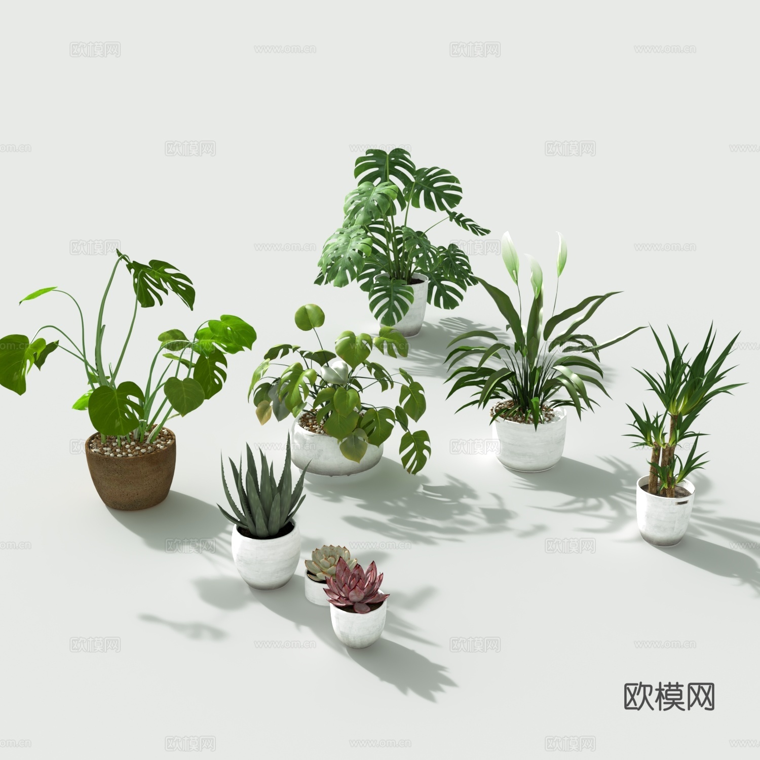 绿植花草鲜花盆栽绿植3d模型