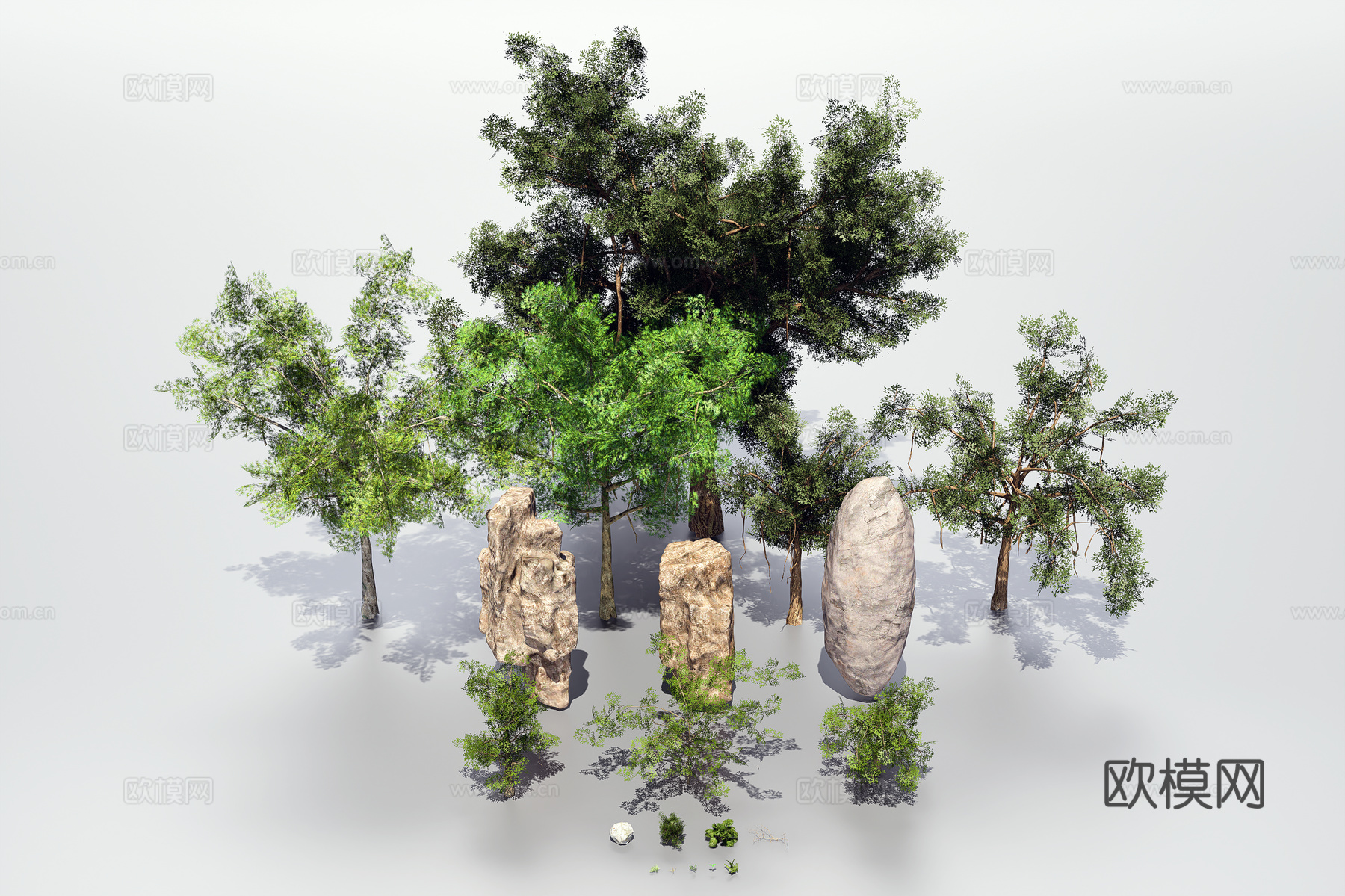 植物组合3d模型