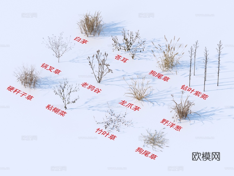 灌木花草 植物类 白茅 苍耳 狗尾草 锅叉草 老鸦谷su模型下载