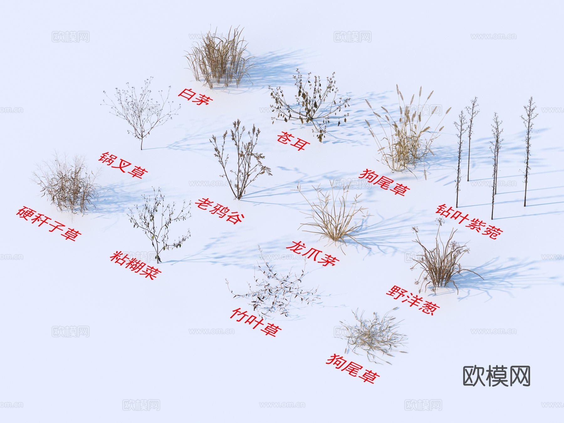 灌木花草 植物类 白茅  苍耳 狗尾草 锅叉草 老鸦谷3d模型