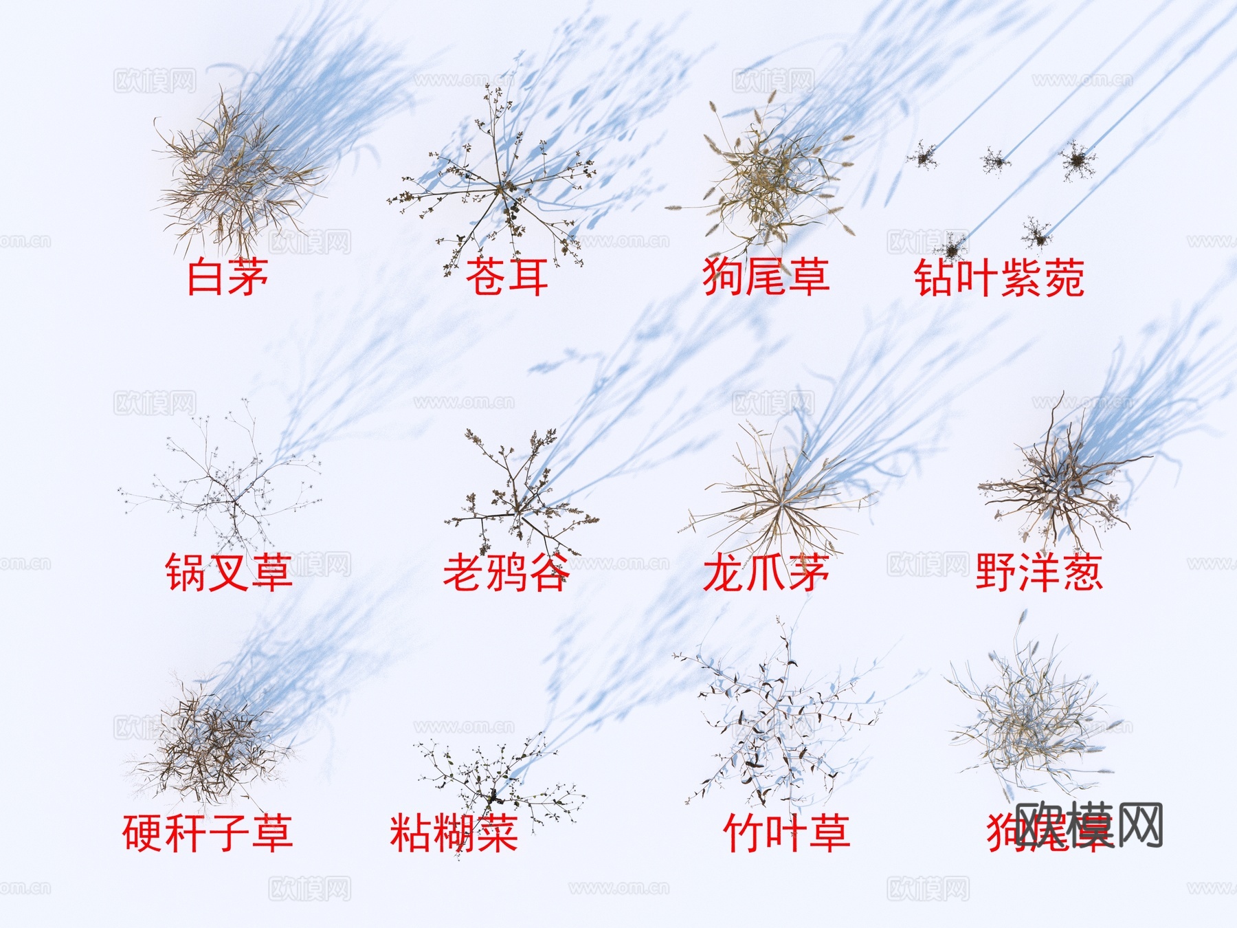 灌木花草 植物类 白茅  苍耳 狗尾草 锅叉草 老鸦谷3d模型