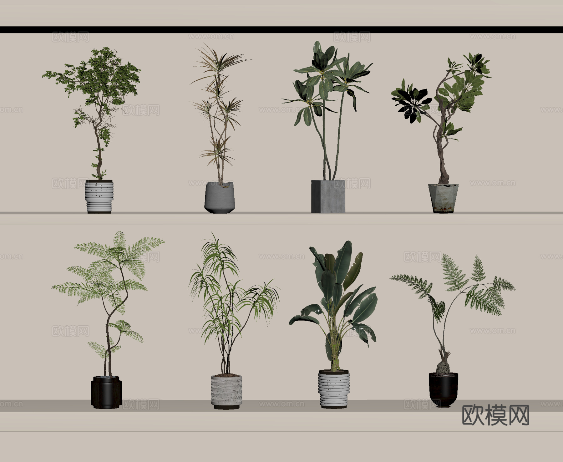 盆景 盆栽 植物 绿植su模型