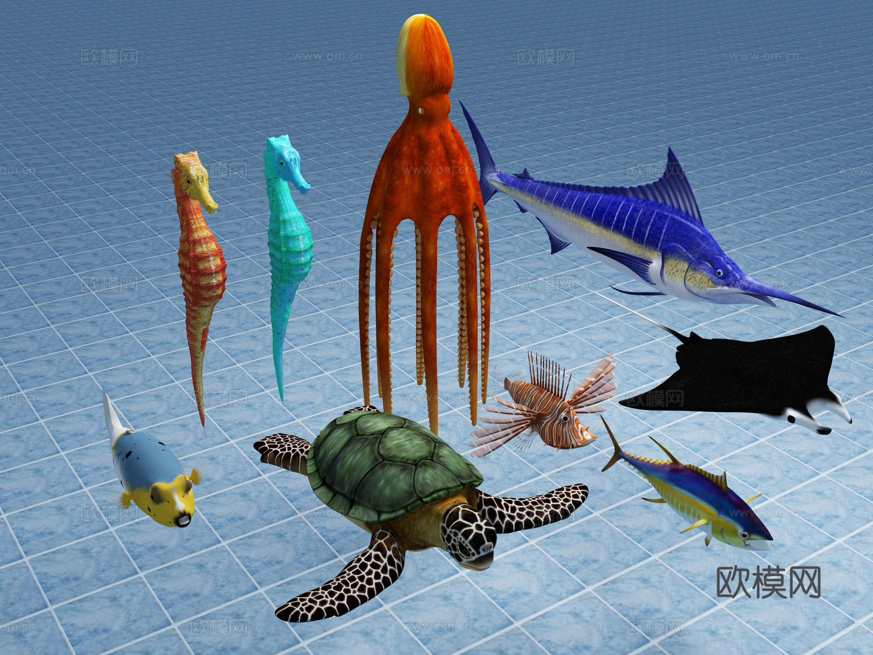 海马 海鱼 海龟 乌龟 海洋生物 动物3d模型