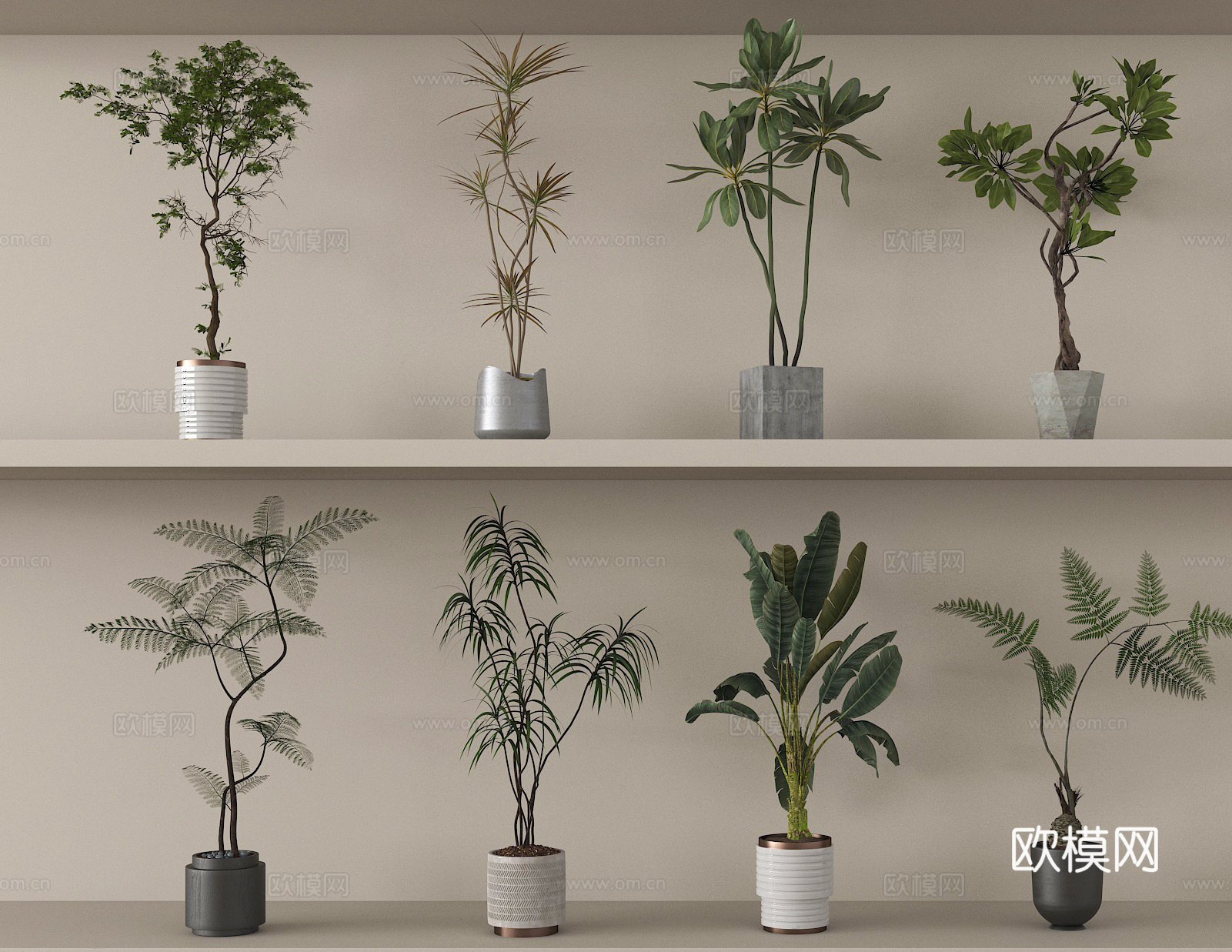盆景 盆栽 植物 绿植3d模型