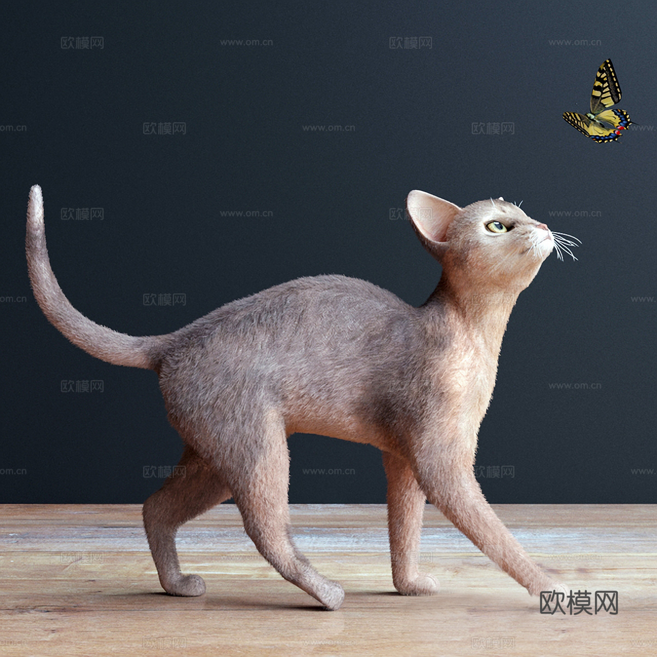 现代猫蝴蝶模型3d模型