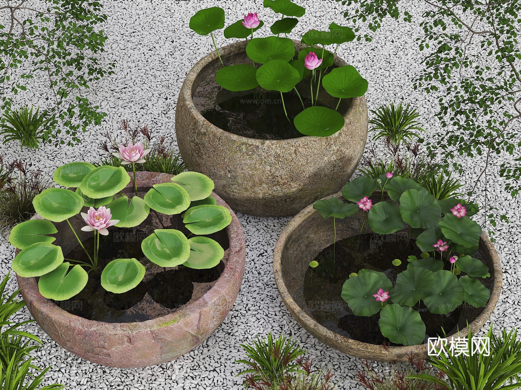 水缸荷花池 鱼池 水缸荷花池 室内景观水缸 中式景观小品 水3d模型