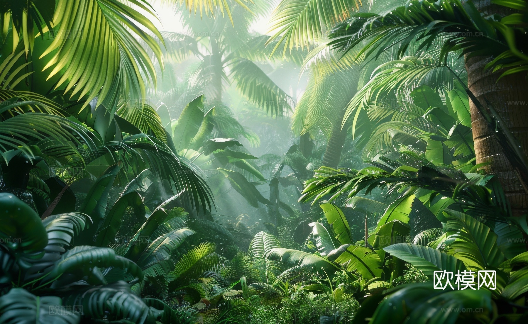 欧式田园热带雨林棕榈植物壁纸壁画下载（渲染图5）