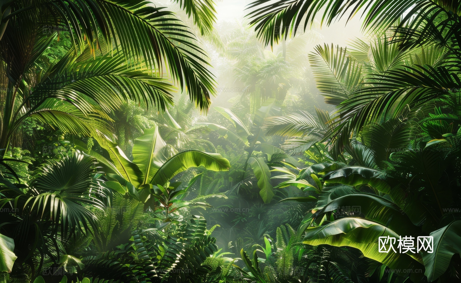 欧式田园热带雨林棕榈植物壁纸壁画下载（渲染图4）