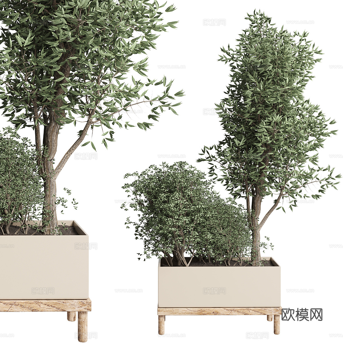 现代北欧绿植盆栽3d模型-Pic-3