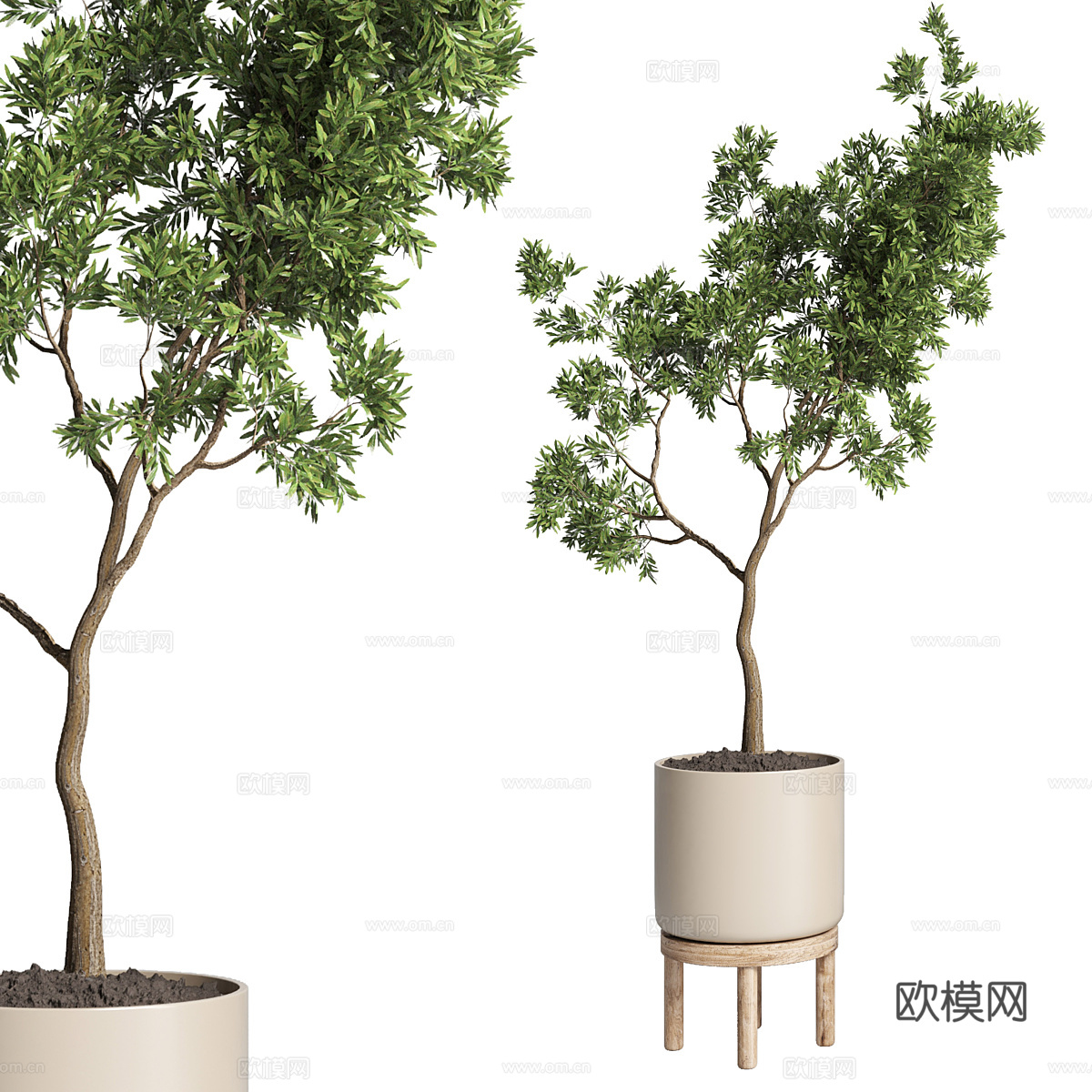 现代北欧绿植盆栽3d模型-Pic-2