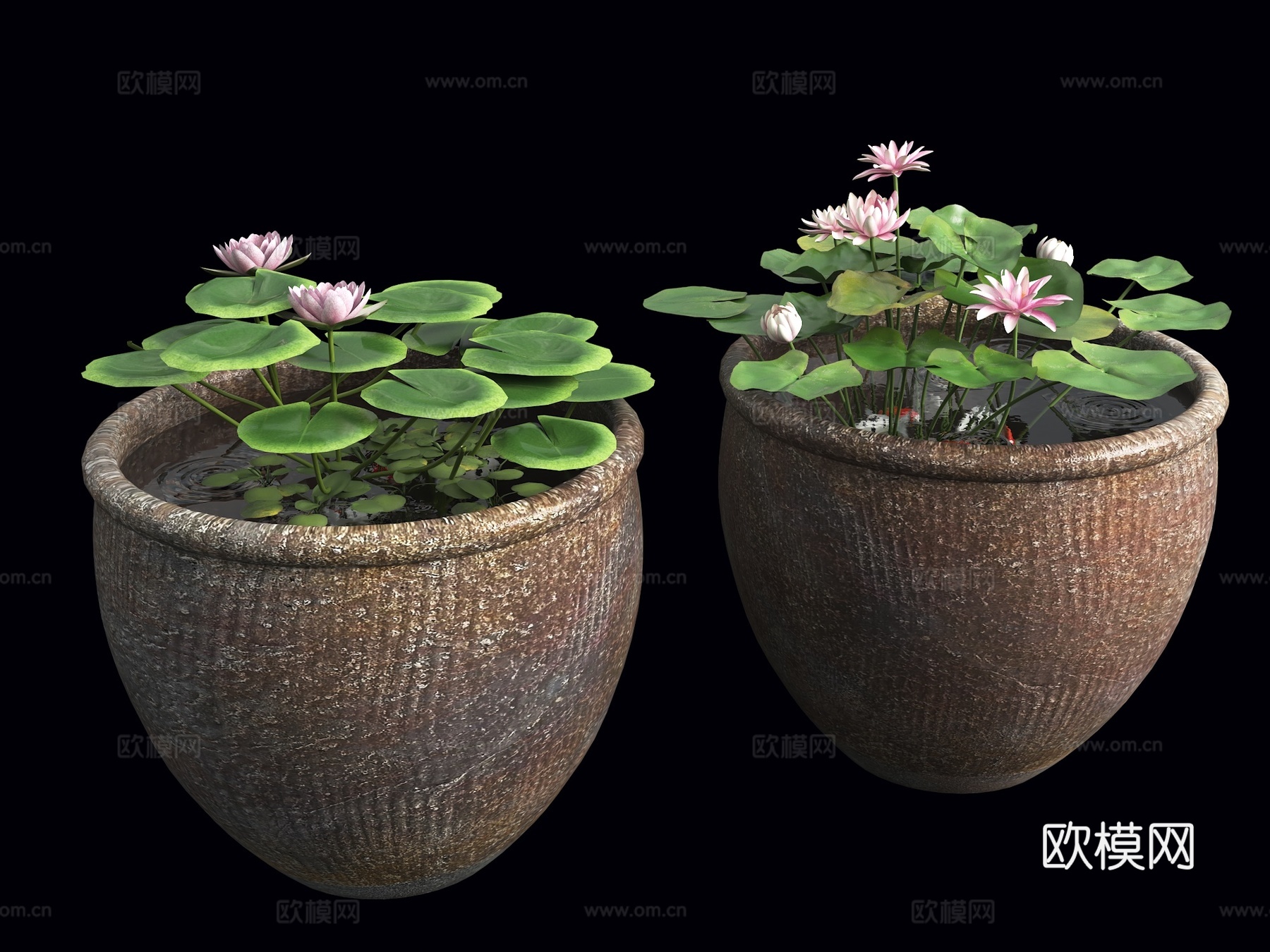 水缸荷花池 鱼池 水缸荷花池 室内景观水缸 中式景观小品 水su模型