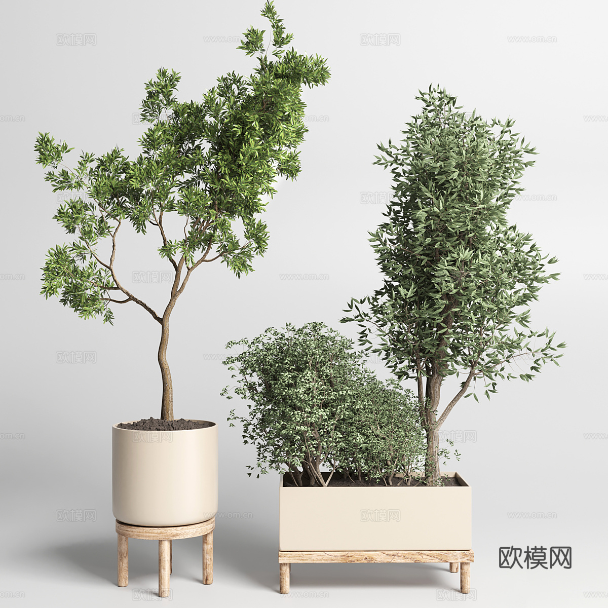 现代北欧绿植盆栽3d模型-Pic-1