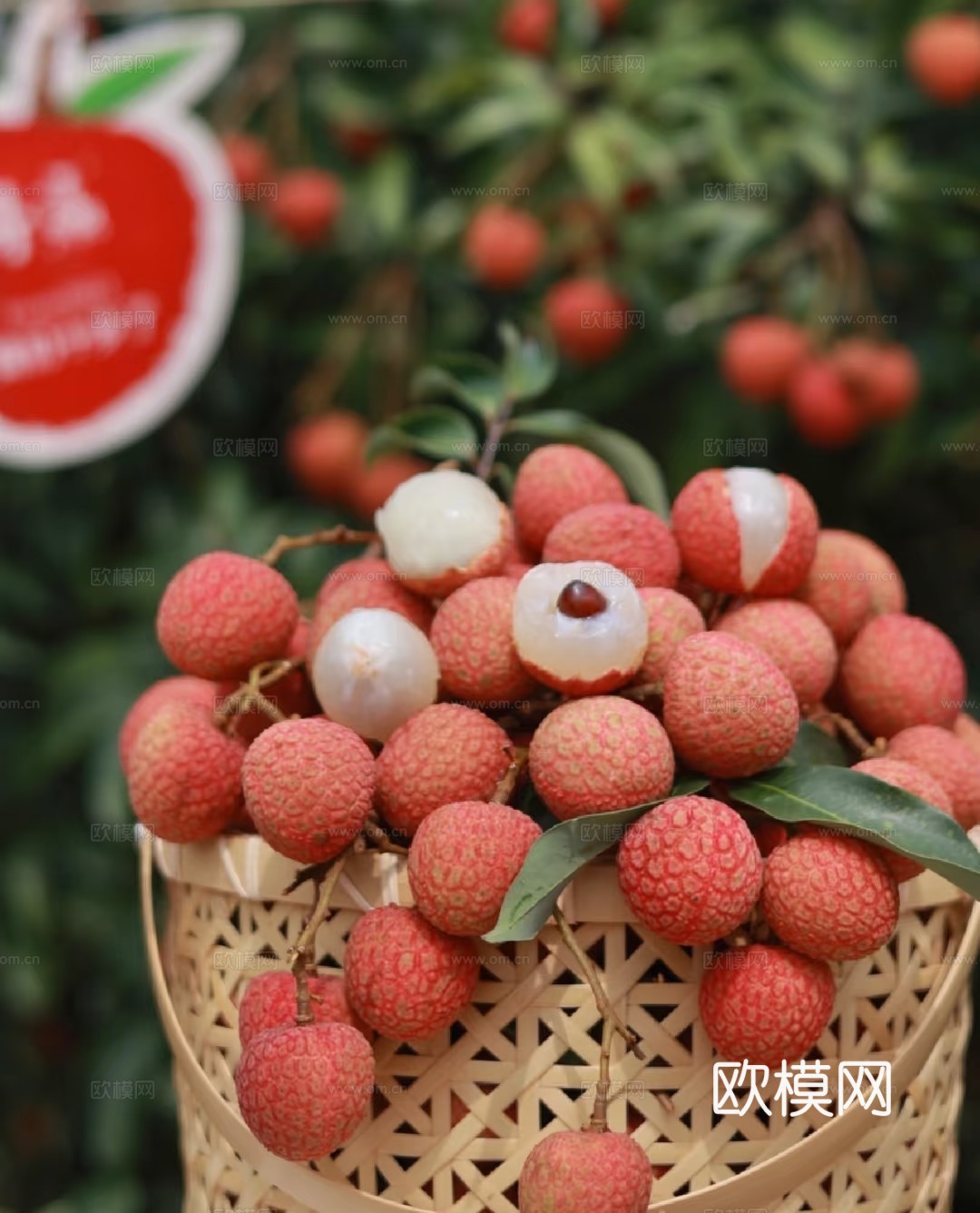 荔枝奶茶果饮海报