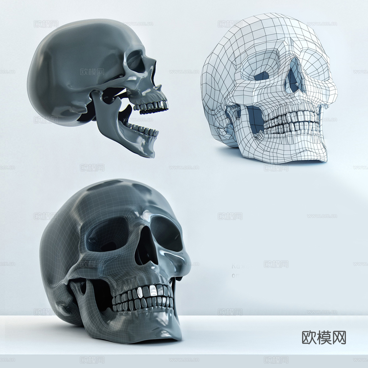 头骨3d模型