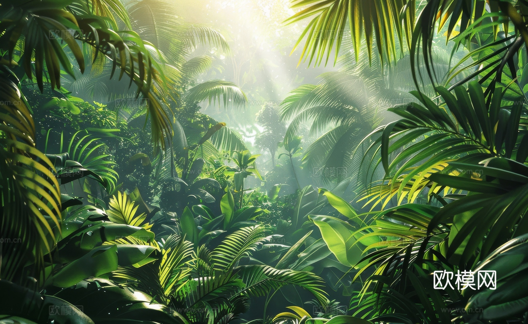 欧式田园热带雨林棕榈植物壁纸壁画下载（渲染图6）