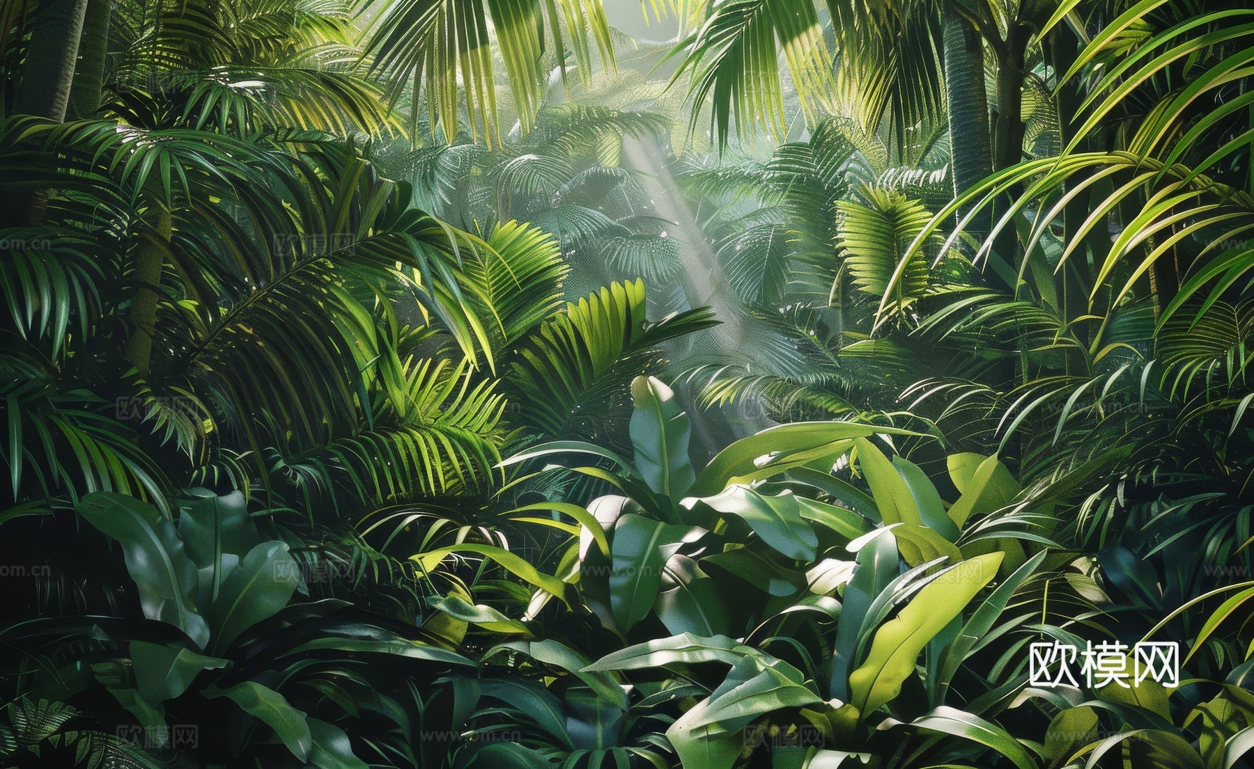欧式田园热带雨林棕榈植物壁纸壁画下载（渲染图3）