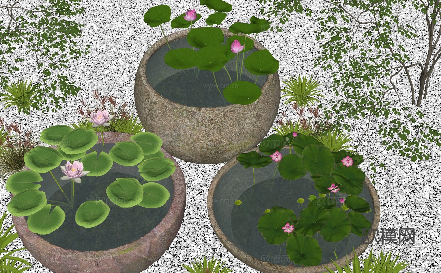 水缸荷花池 鱼池 水缸荷花池 室内景观水缸 中式景观小品 水su模型