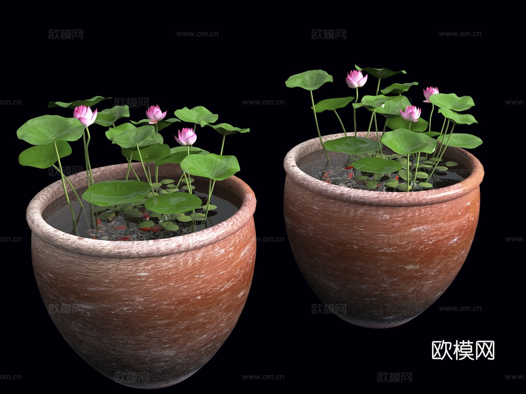 水缸荷花池 鱼池 水缸荷花池 室内景观水缸 中式景观小品 水su模型