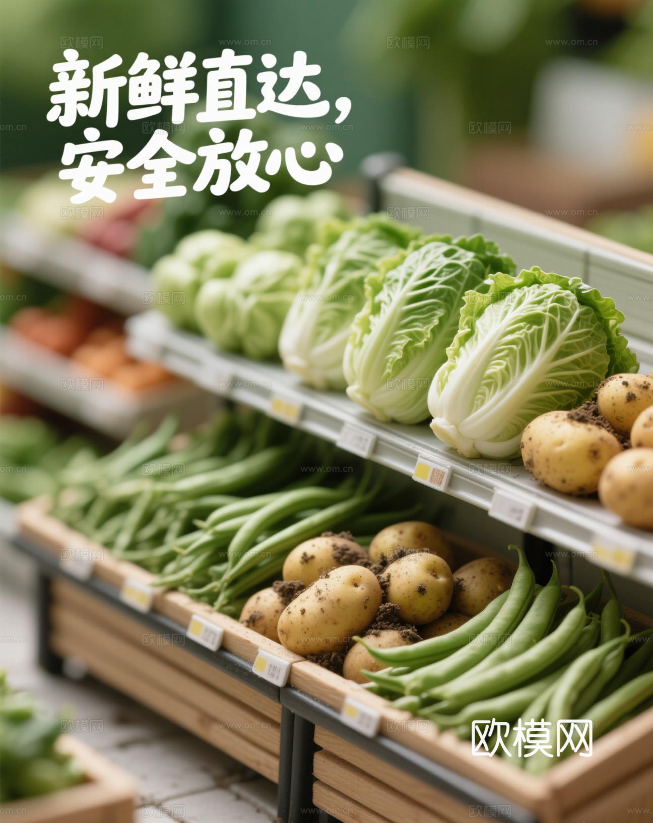 生鲜超市蔬菜