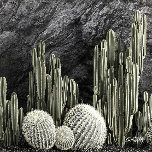 现代仙人球 植物堆3d模型下载(渲染图4)
