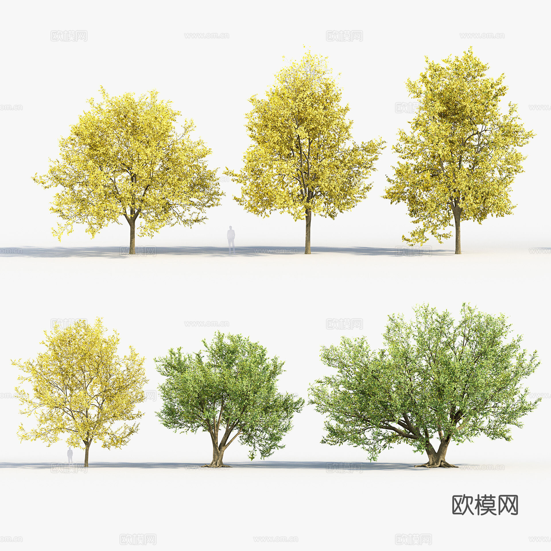 树 写实3d模型