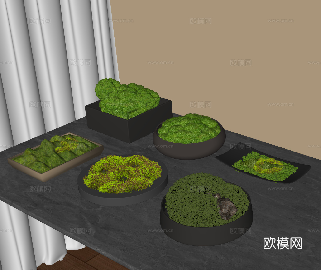 苔藓 绿植 盆栽装饰 桌面盆栽 苔藓su模型