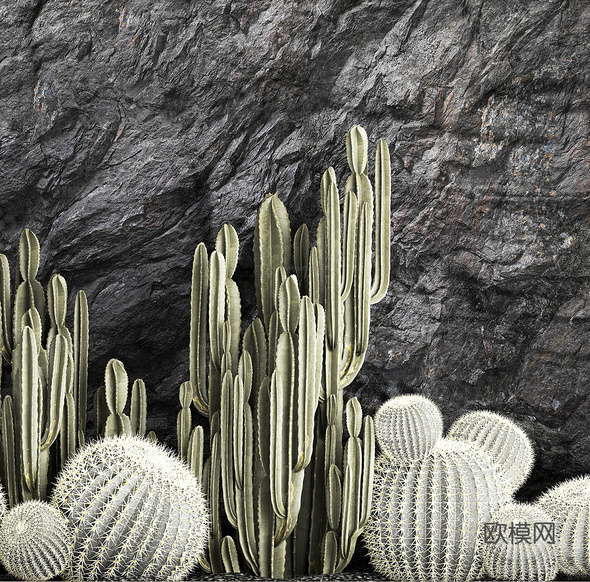 现代仙人球 植物堆3d模型下载(渲染图5)