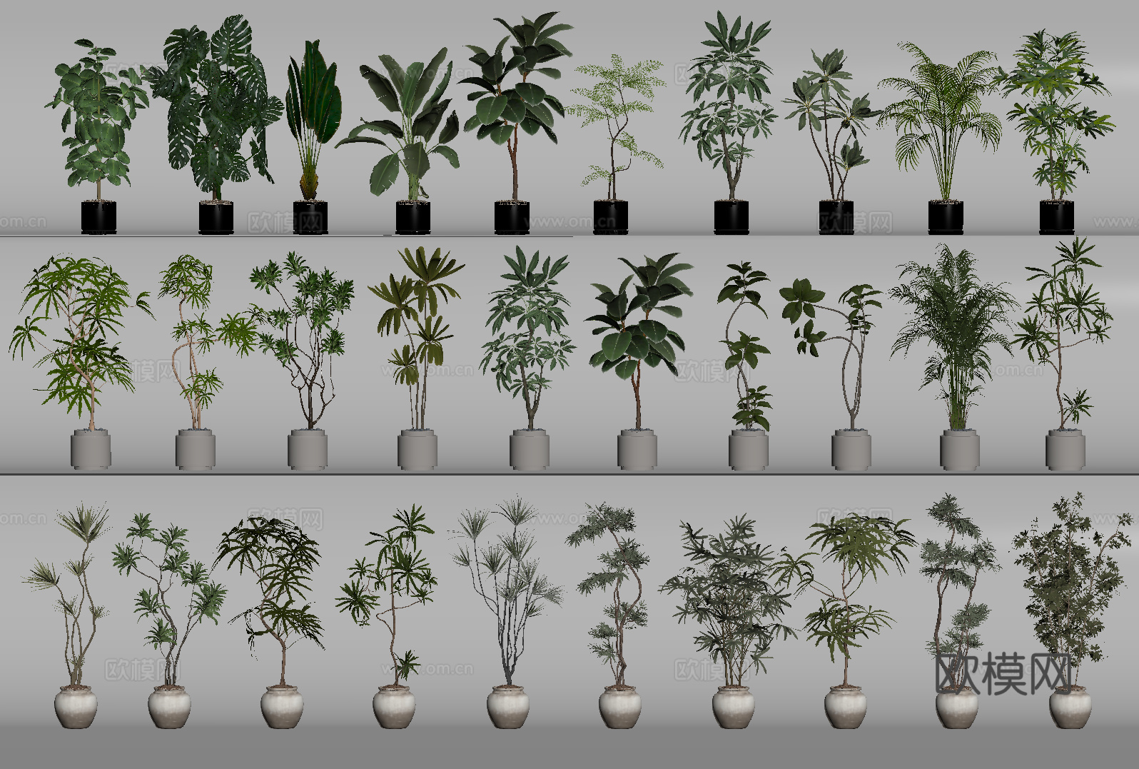 盆栽 盆景 绿植 植物su模型