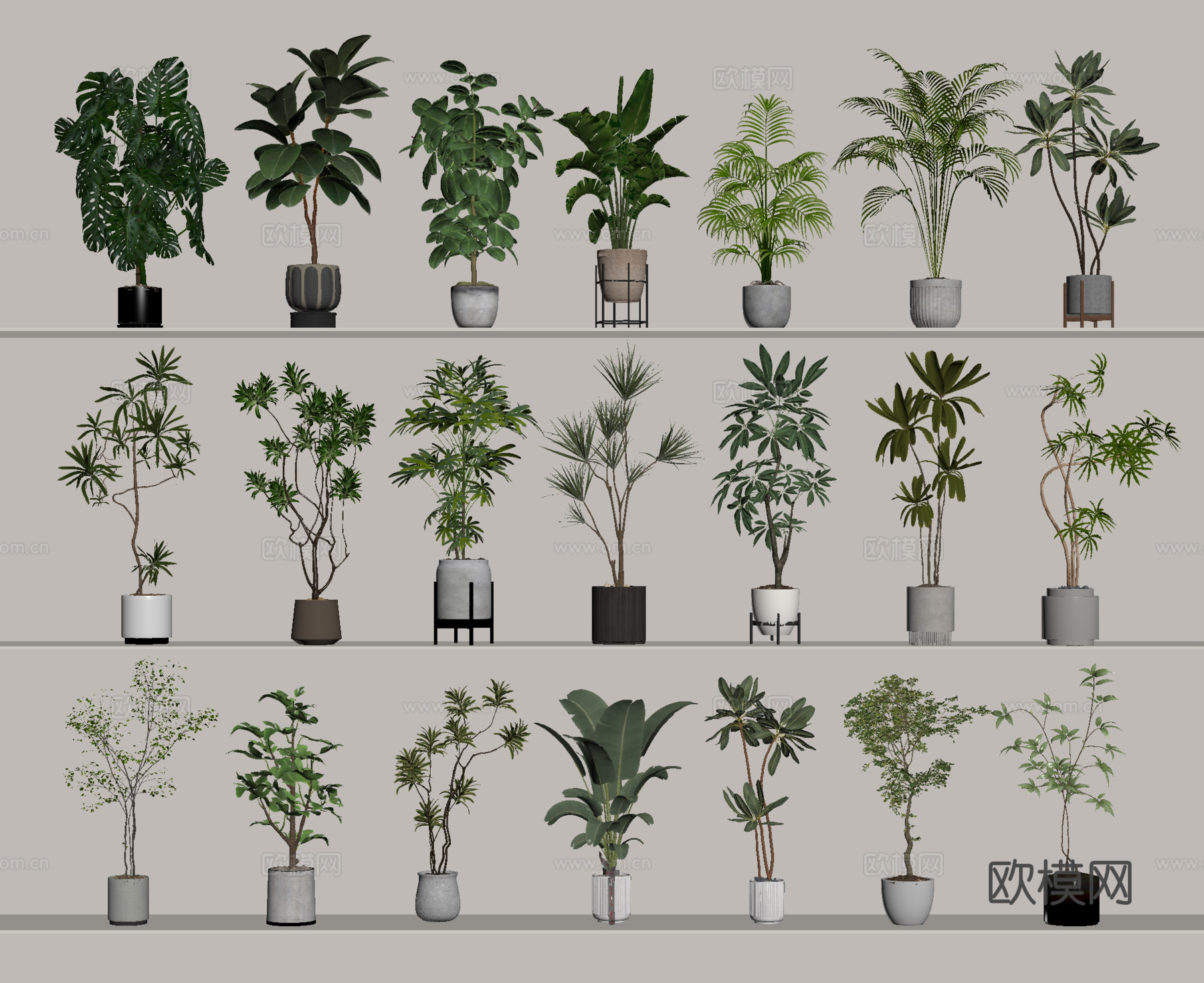植物 绿植 盆景 盆栽su模型