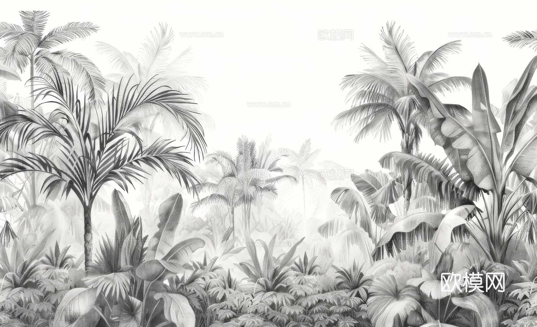 欧式田园热带雨林棕榈植物壁纸壁画