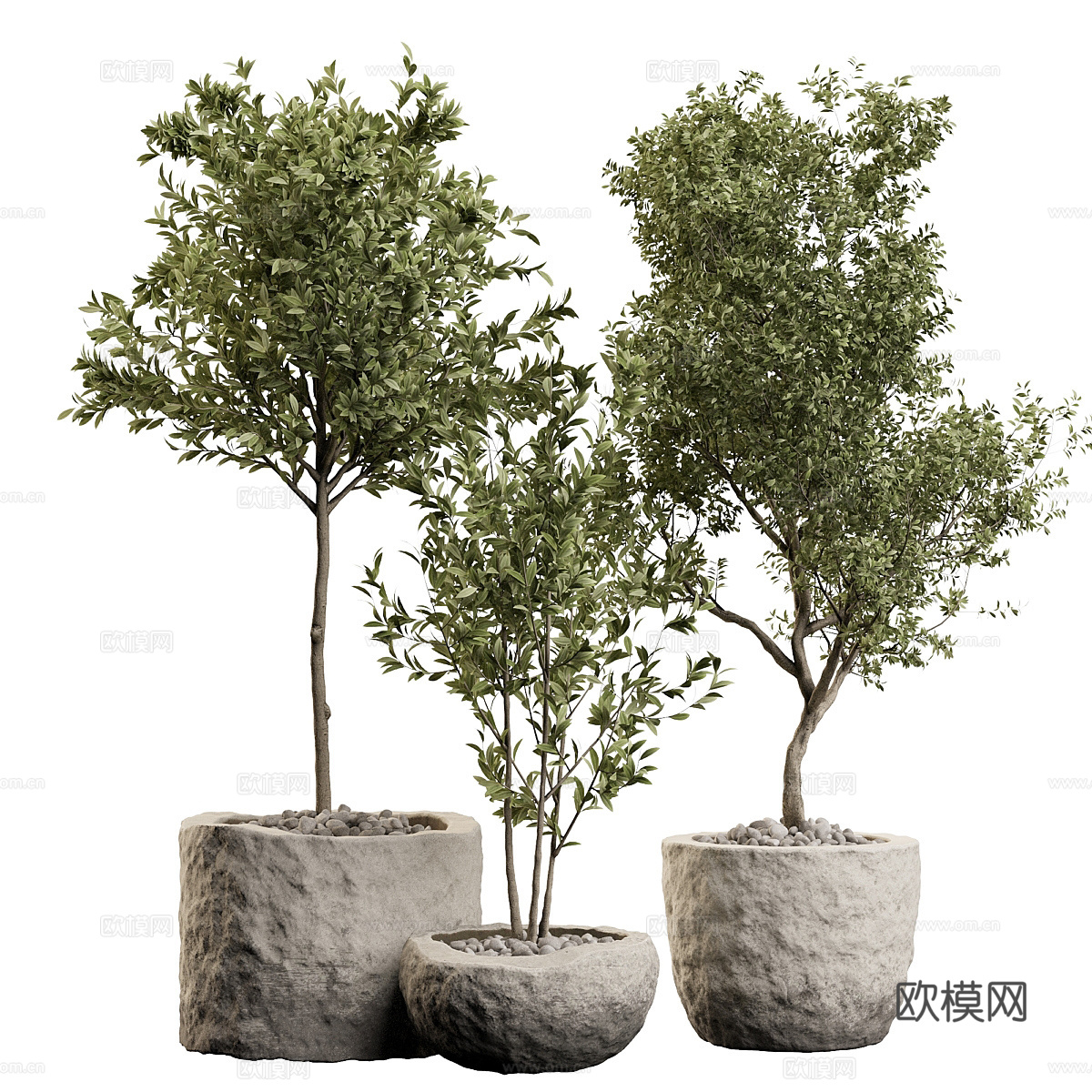 新中式侘寂绿植盆栽3d模型