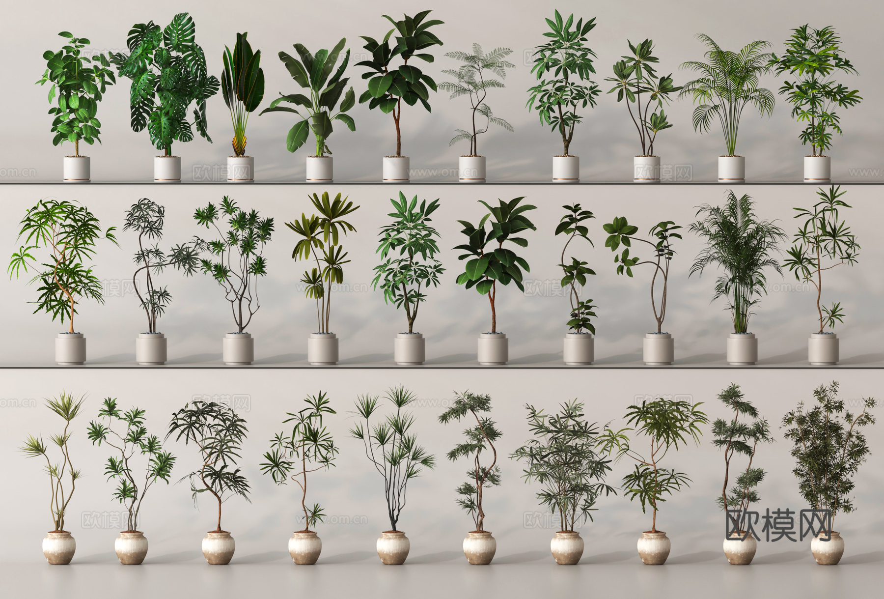 盆栽 盆景 绿植 植物su模型
