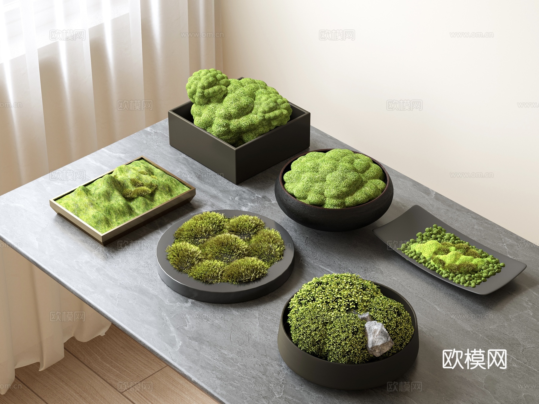 苔藓 绿植 盆栽装饰 桌面盆栽 苔藓3d模型
