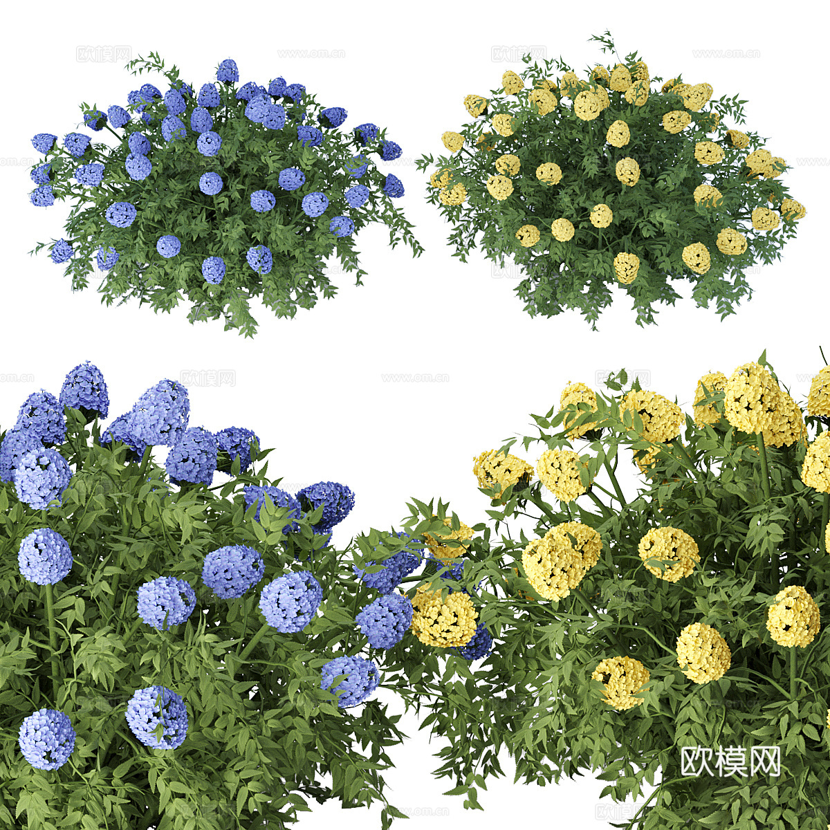 花丛 灌木3d模型