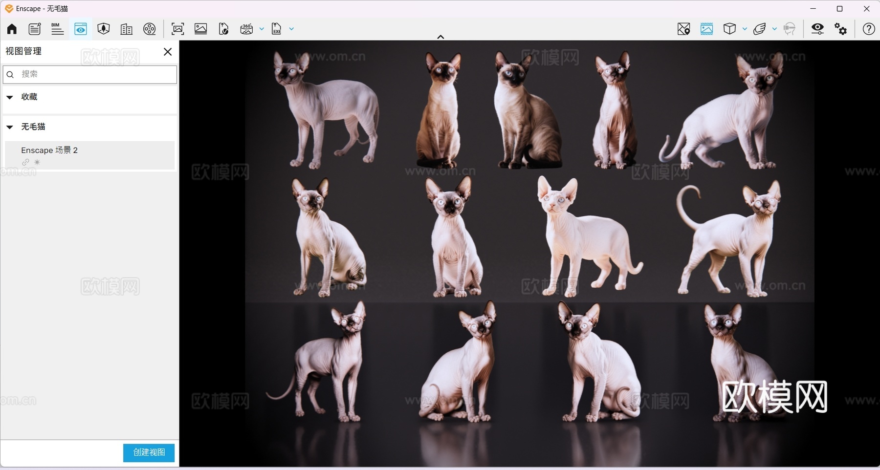 2D宠物猫 宠物 无毛猫 斯芬克斯 小猫咪 居家宠物su模型