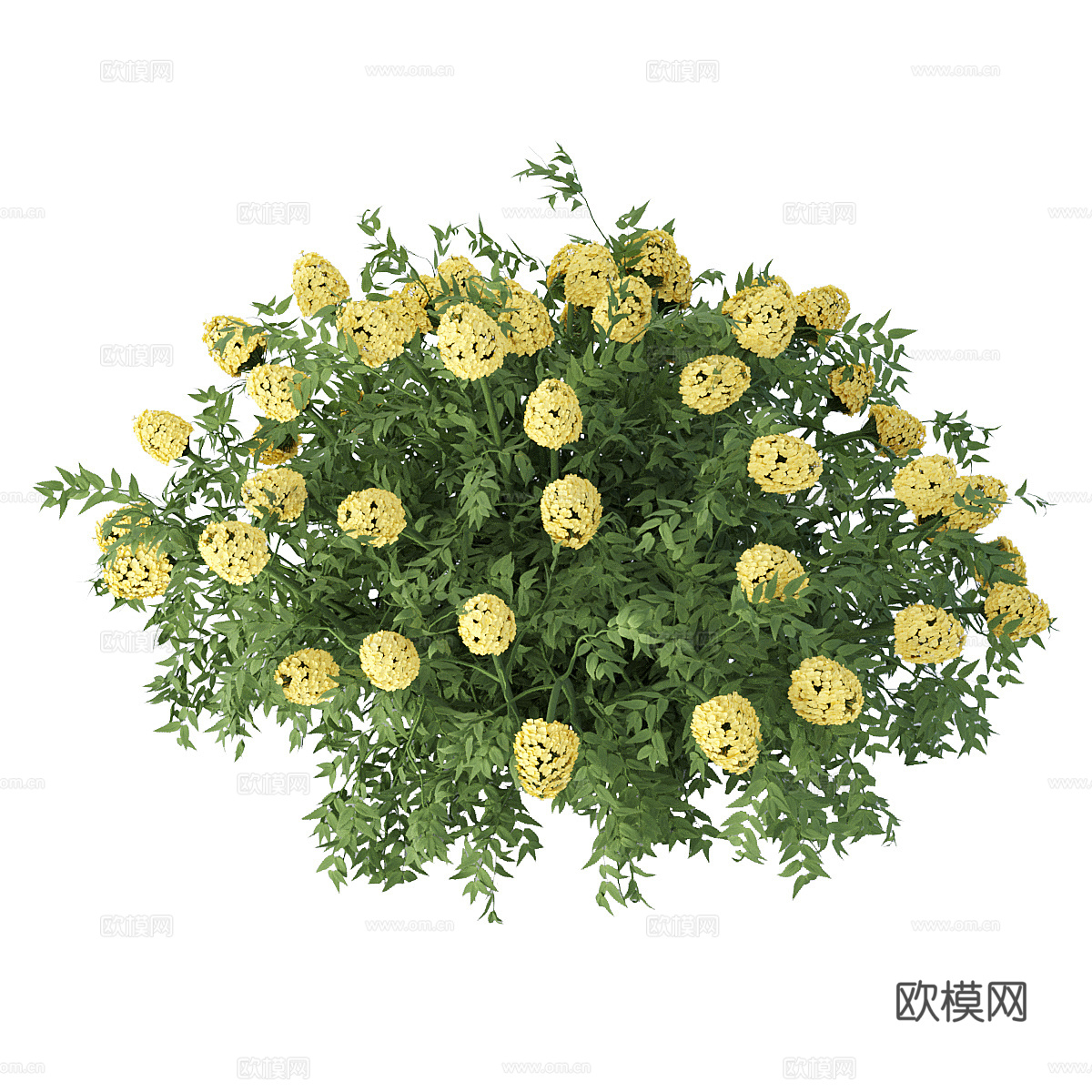 花丛 灌木3d模型