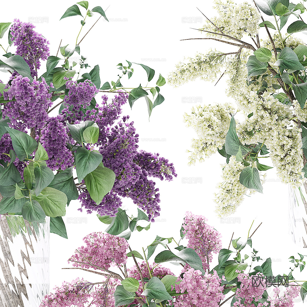 现代紫丁香花瓶花艺3d模型