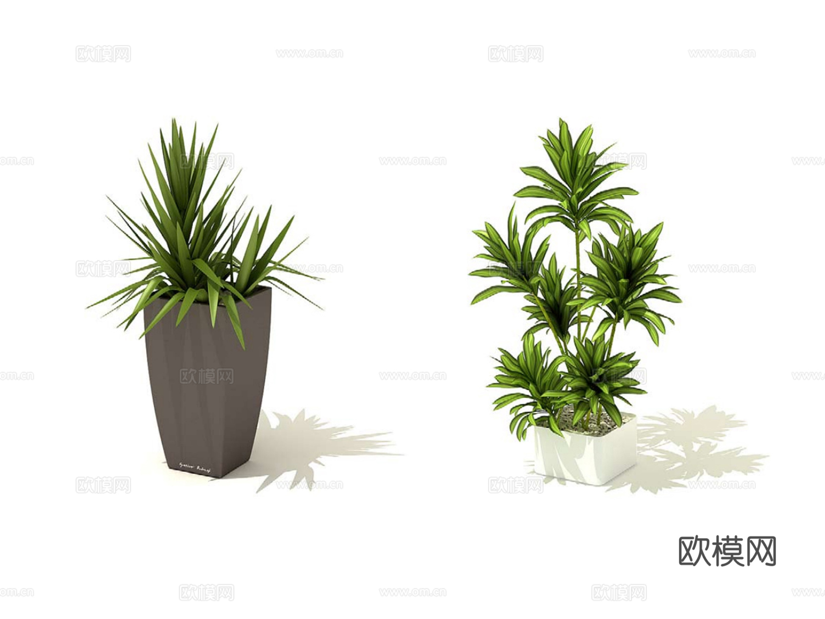 绿植 盆栽3d模型