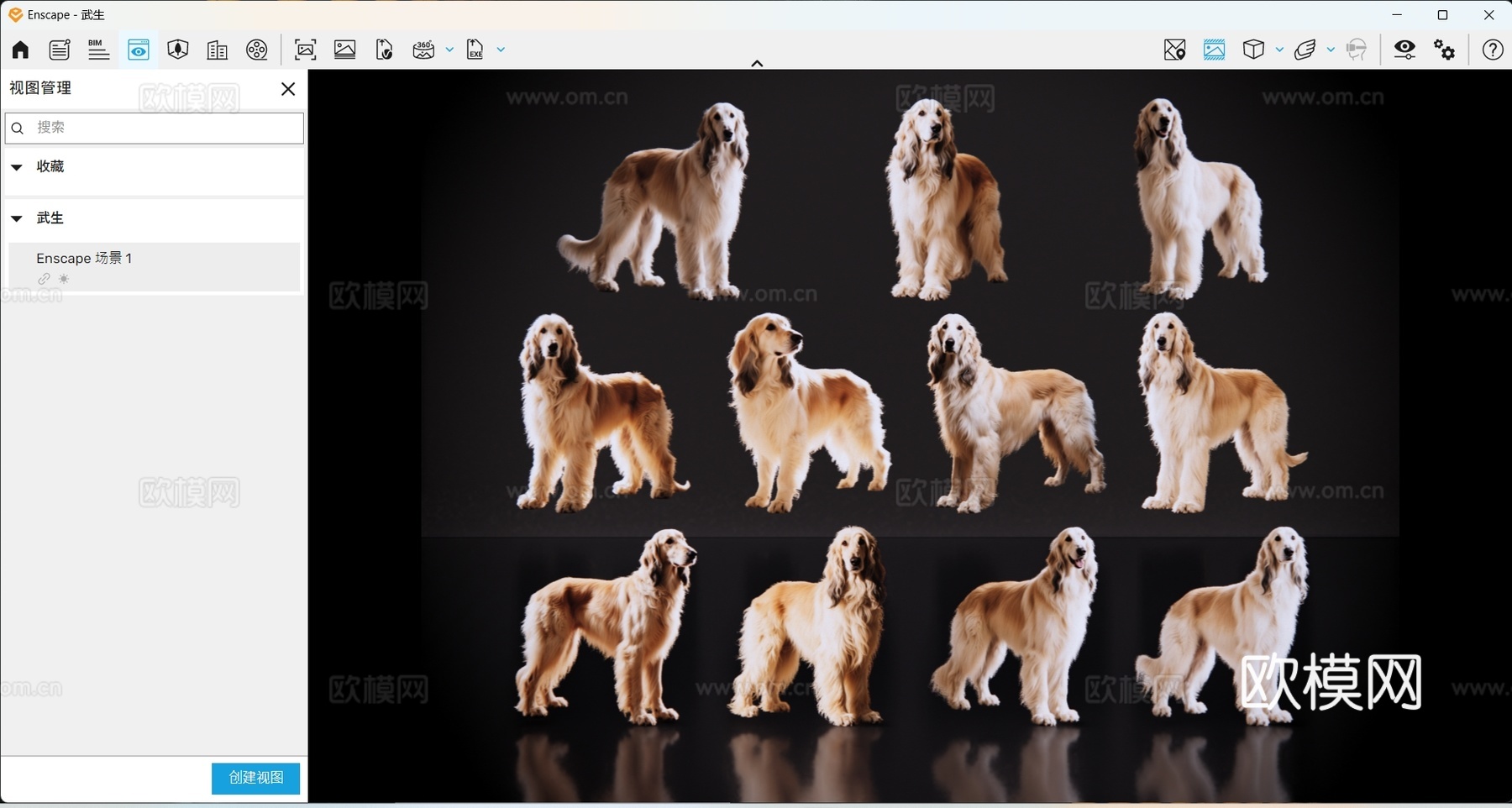 2D宠物狗 宠物 阿富汗猎犬 大型宠物狗 居家宠物su模型
