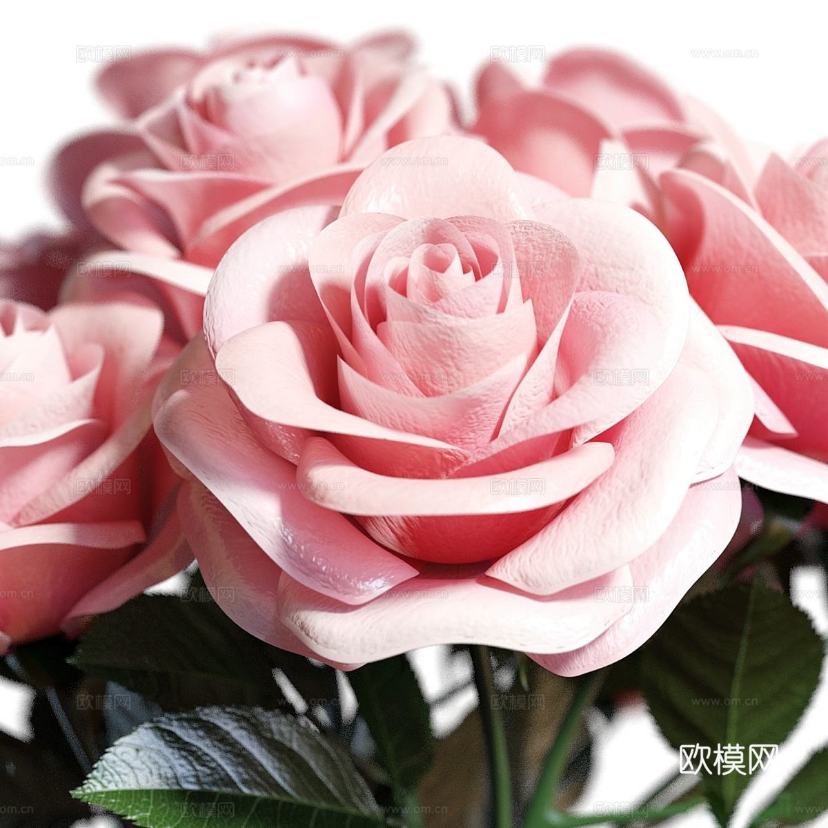 现代粉红玫瑰花 花艺3d模型