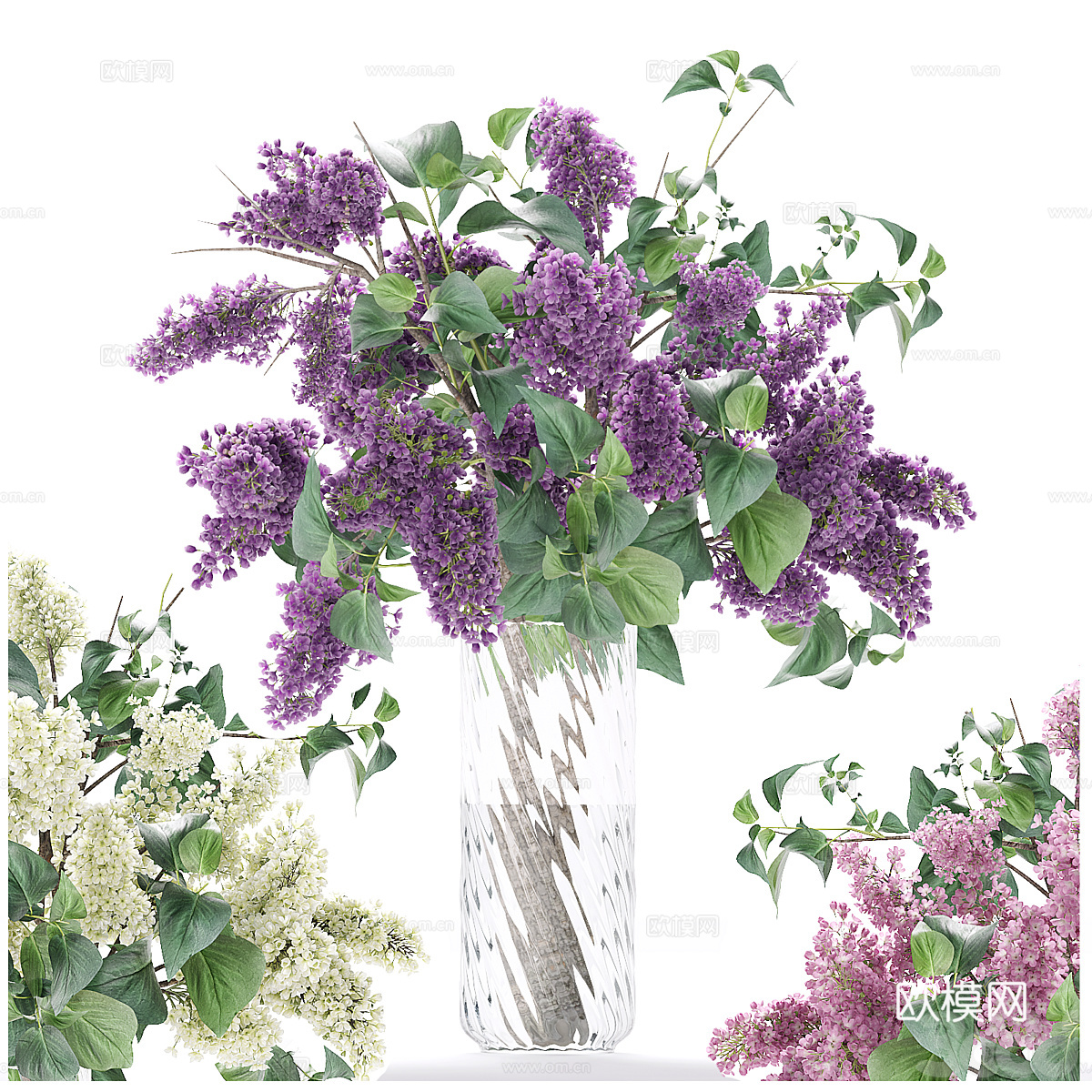 现代紫丁香花瓶花艺3d模型