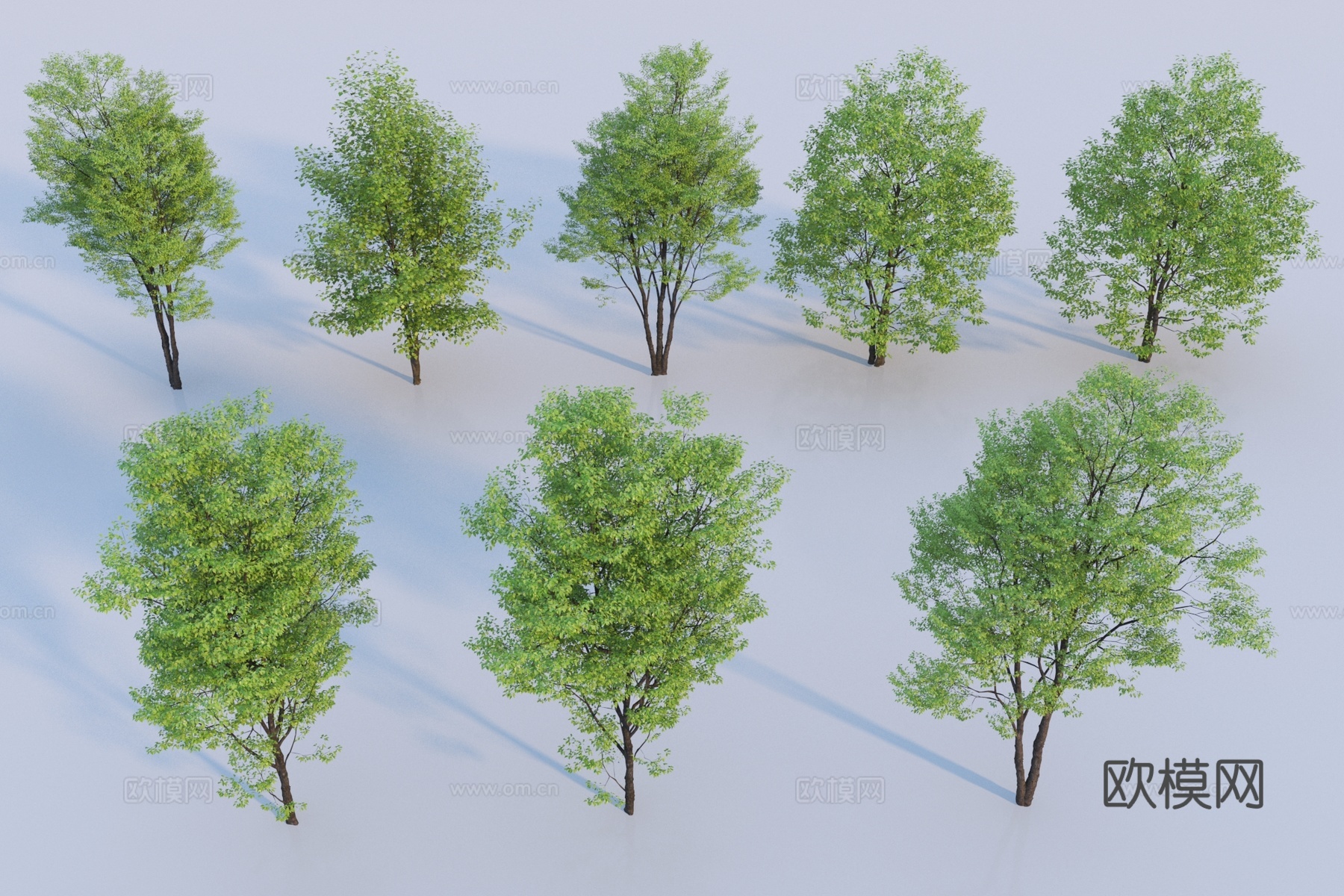 现代景观树3d模型