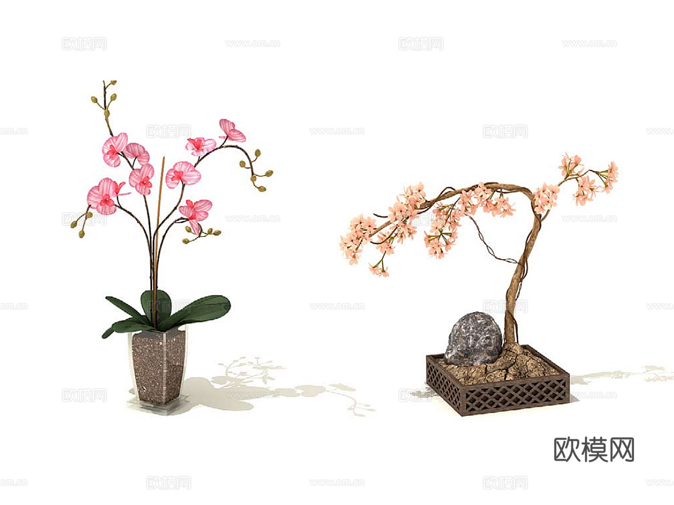 绿植盆栽3d模型