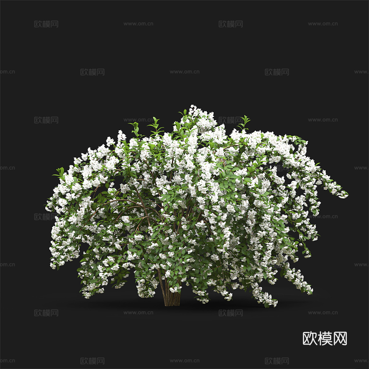灌木 花丛3d模型