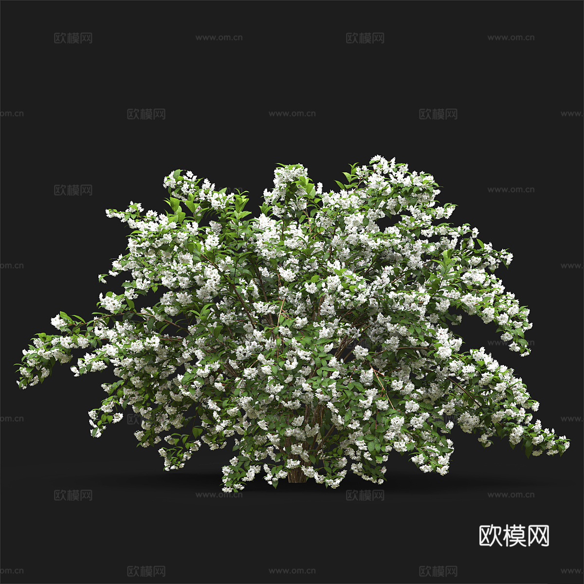 灌木 花丛3d模型