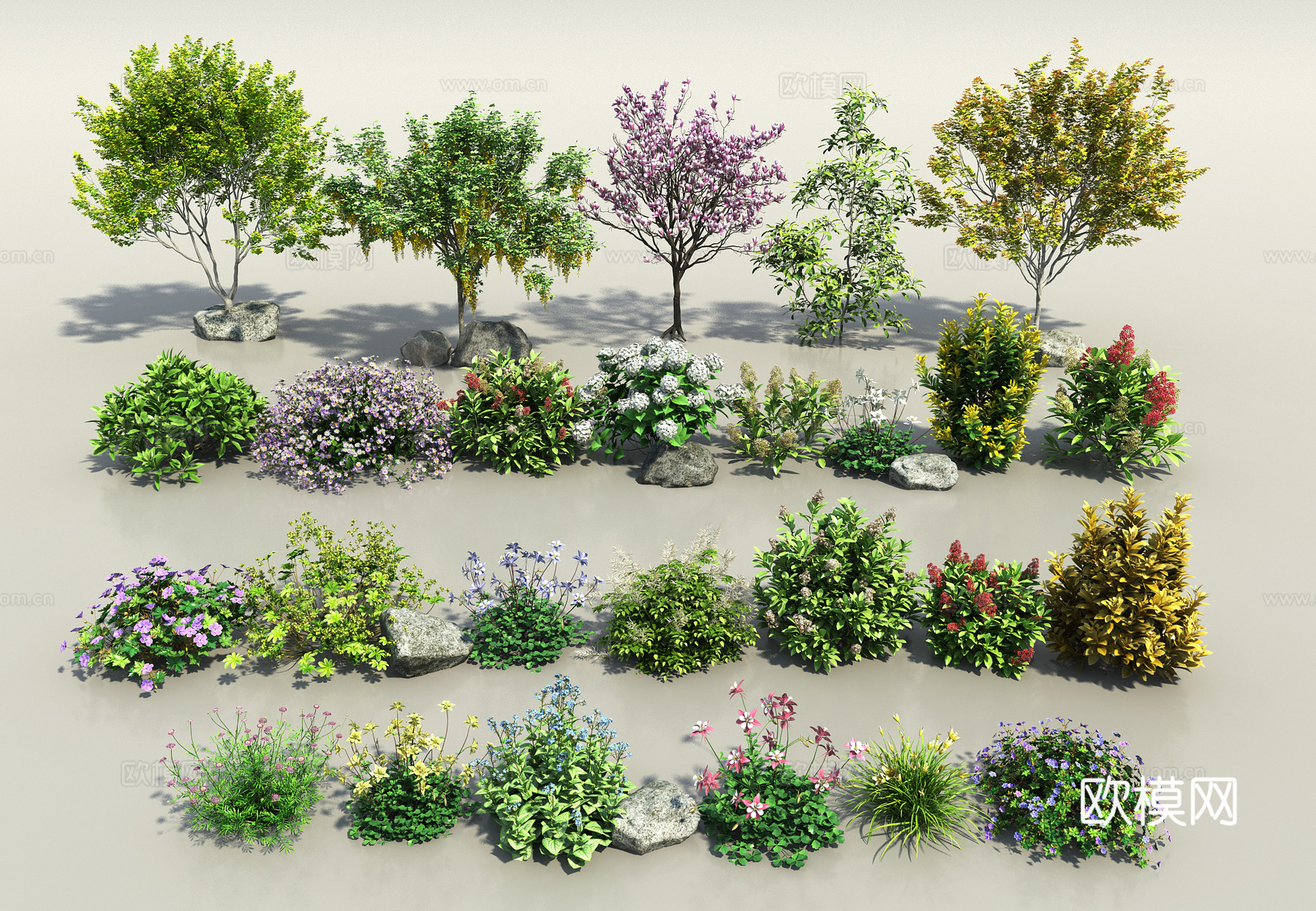 现代花卉灌木组合 灌木球 花带 花圃绿植 玉兰 球形植物户外3d模型