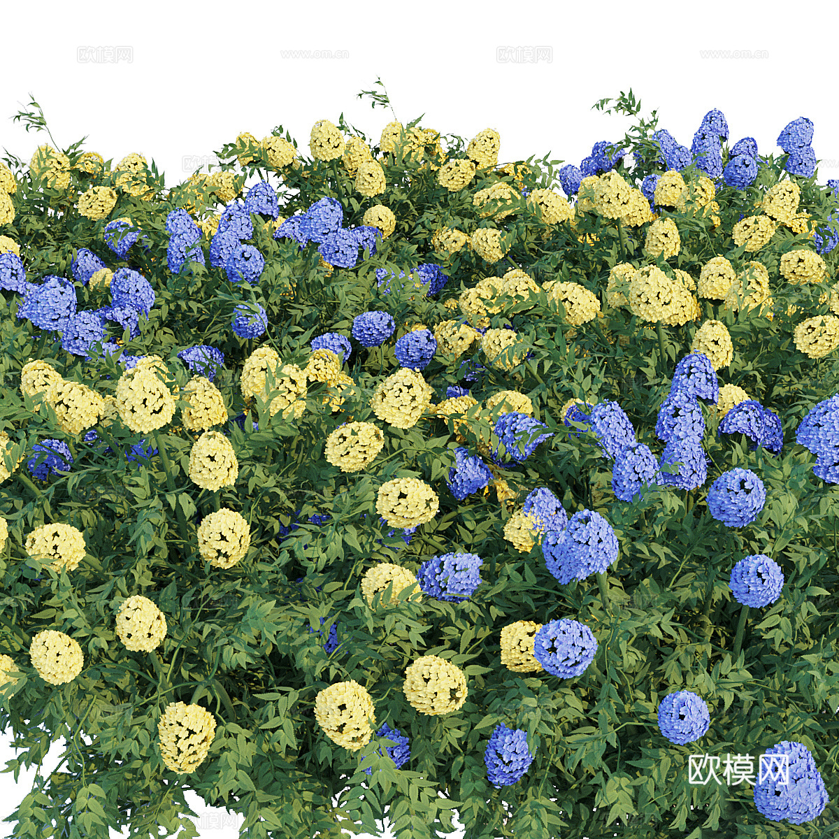 花丛 灌木3d模型