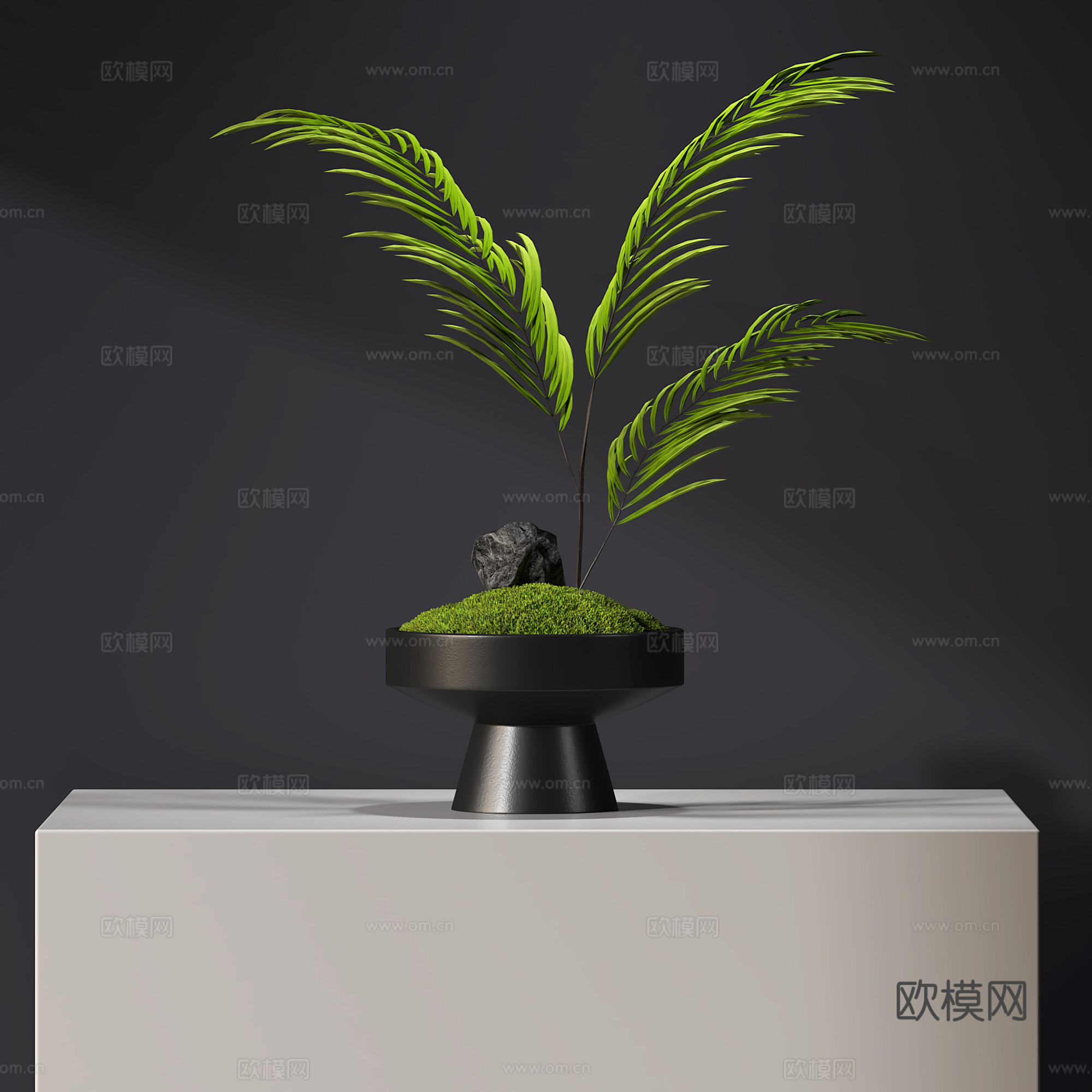 现代绿植苔藓盆景3d模型