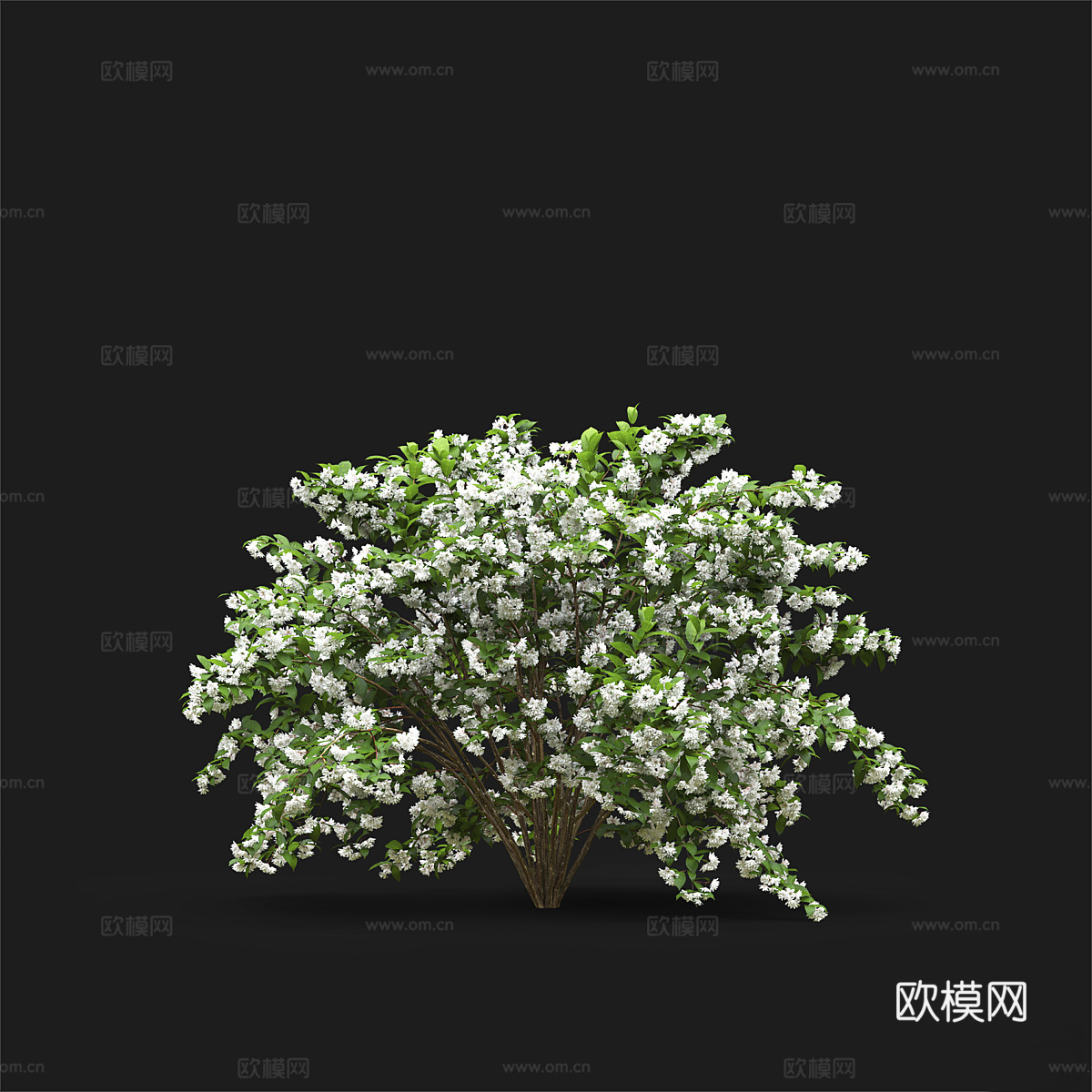 灌木 花丛3d模型