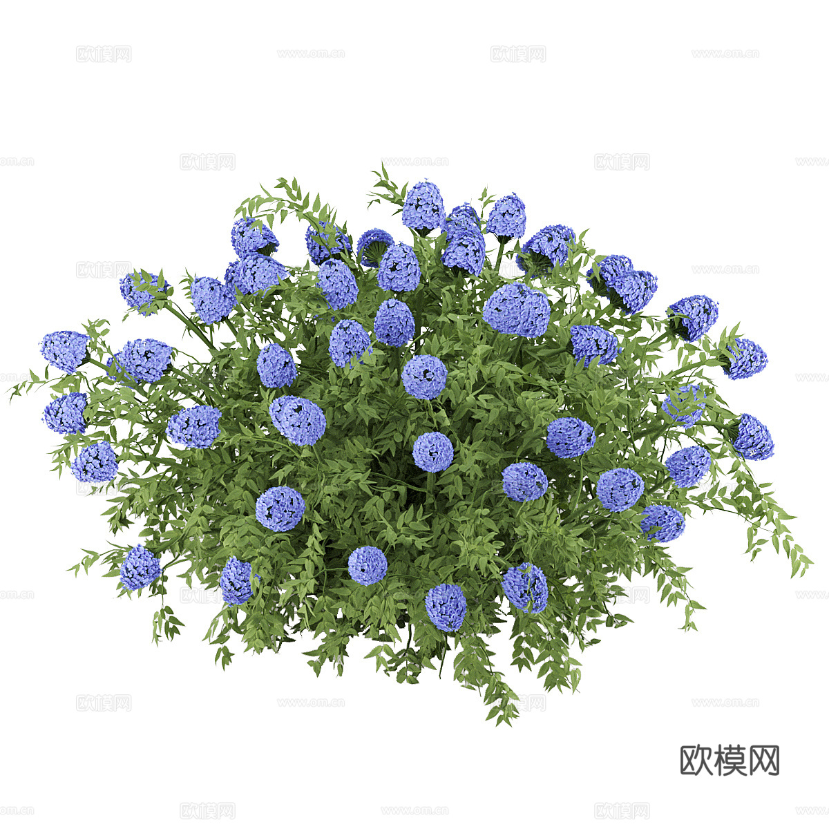 花丛 灌木3d模型